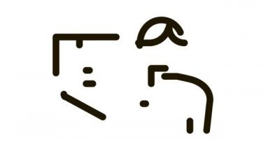 Parsel Simgesi Canlandırması Fişi