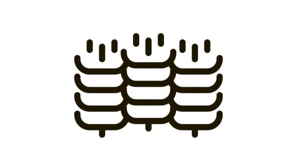 Orelhas de trigo natural Colheita Ícone Animação — Vídeo de Stock