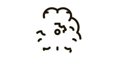 İnsan Beyni Dişli Simgesi Canlandırması