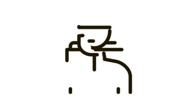 Sivrisinek Savaşçısı Simge Canlandırması