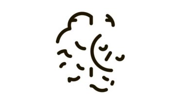 Beyin Yüzdesi Simgesi Canlandırması