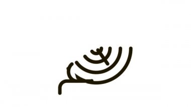 Sihirbaz İnsan Yetenek Simgesi Canlandırması