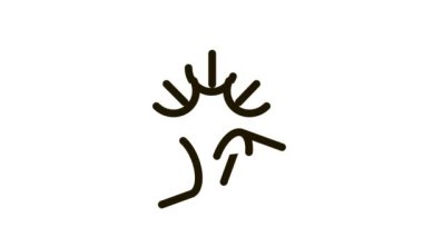 Biyokapsül Ek Simge CanlandırmasıComment