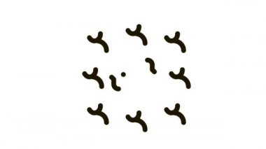 Fikir Tartışması Simgesi Canlandırması