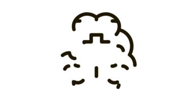 Beyin ve Tıbbi Haç Simgesi Canlandırması