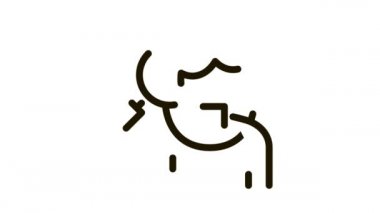 Kadın ve Büyüteç Simgesi Canlandırması