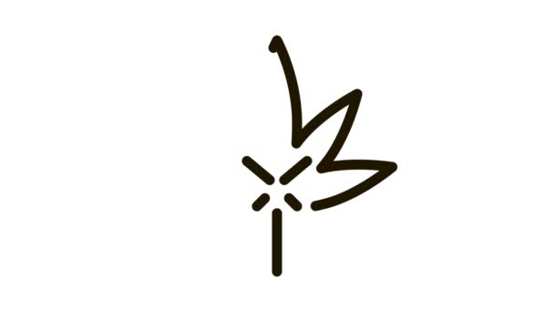 Ikona liści konopi Animacja — Wideo stockowe