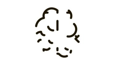 Beyin Büyüteci Simgesi CanlandırmasıName