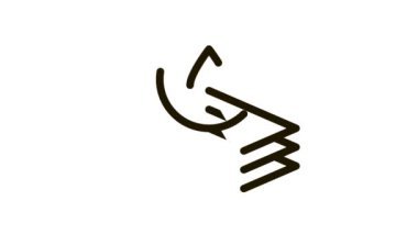 Özümseyen Katmanlar Simge CanlandırmasıName