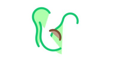 avokado Simgesi Canlandırmasını kes