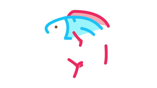 Animação ícone de peixe — Vídeo de Stock