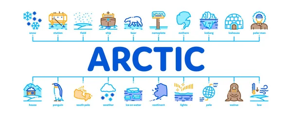 Vetor de Banner Infográfico Mínimo Ártico e Antártico — Vetor de Stock