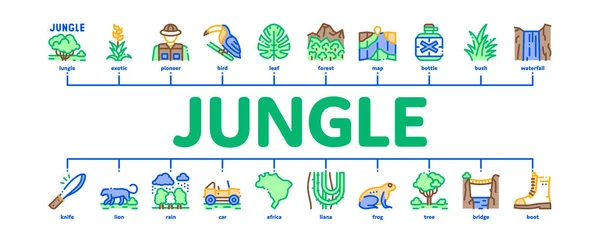 Jungle Tropical Forest Minimalny sztandar infograficzny Wektor płaski — Wektor stockowy