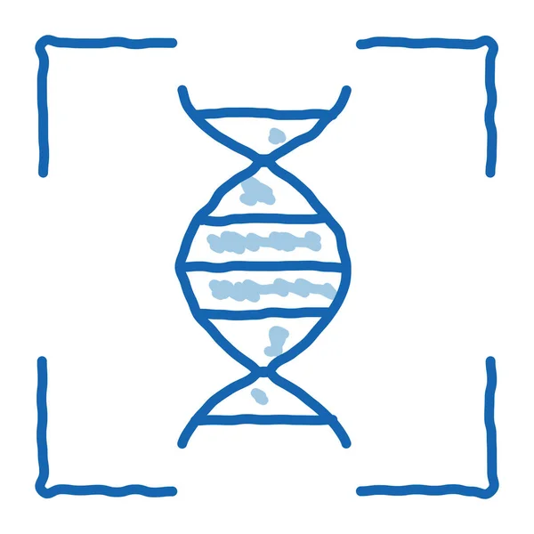 Vetor Ícone Esboço Teste Dna Humano Linha Azul Desenhada Mão — Vetor de Stock