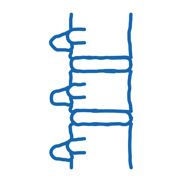 Vektor Ikony Lidské Páteře Ručně Kreslené Modré Čáry Umění Lidské — Stockový vektor
