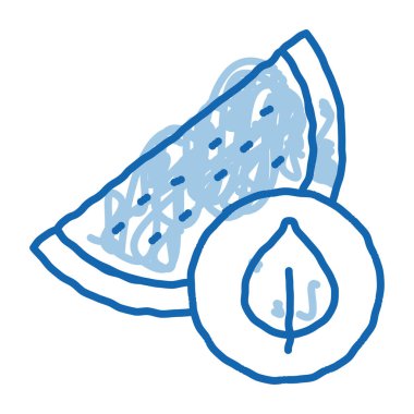 Karpuz Yaprağı taslak ikon vektörü. El çizimi mavi çizgili karpuz yaprağı işareti. izole edilmiş sembol çizimi