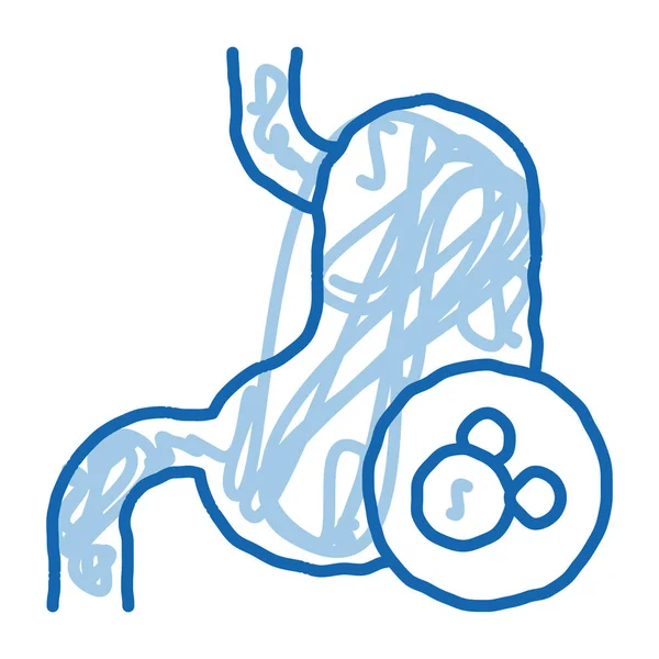 人肾素描图标向量 手绘蓝色涂鸦线艺术人体肾征 孤立的符号说明 — 图库矢量图片