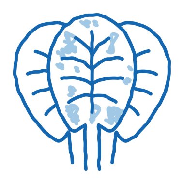 Ispanak taslak ikon vektörü bırakır. El çizimi mavi çizgili ıspanak yaprağı işareti. izole edilmiş sembol çizimi