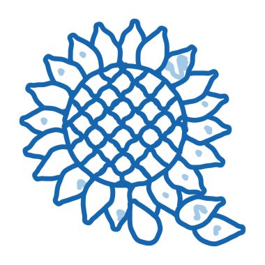 ayçekirdeği simgesi vektör çizimi çizimi