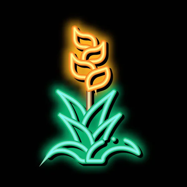 Fiore Esotico Vettore Luce Neon Segno Brillante Icona Luminosa Segno — Vettoriale Stock