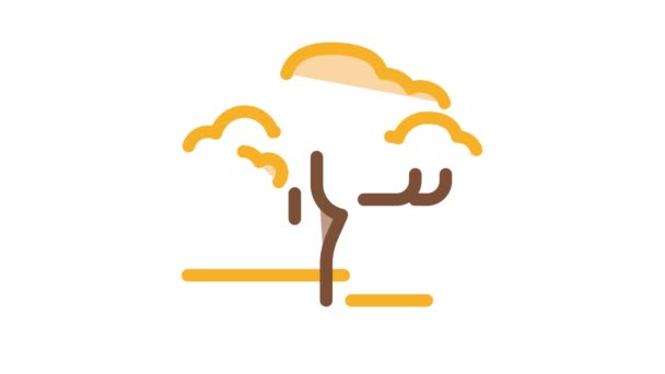 Savanna Tree Icon Animation — Stock Video