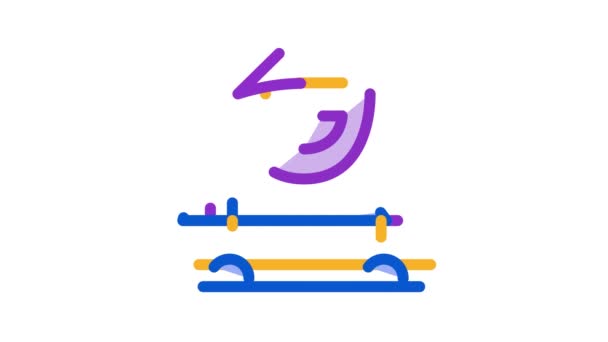 Car Driver Logo Icon Animation — Stock Video