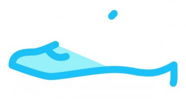 Sneaker Ayakkabı Simgesi Canlandırması