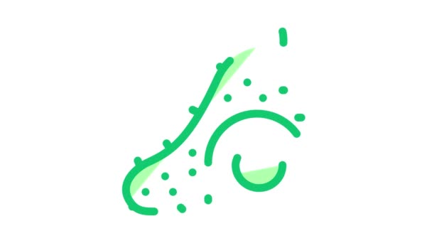 Cucumber Leaf Icon Animation — 비디오