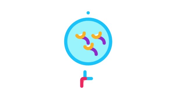 Badania ludzi Icon Animation — Wideo stockowe