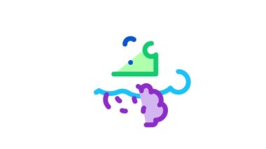 beyin bulmacası Simge Canlandırması