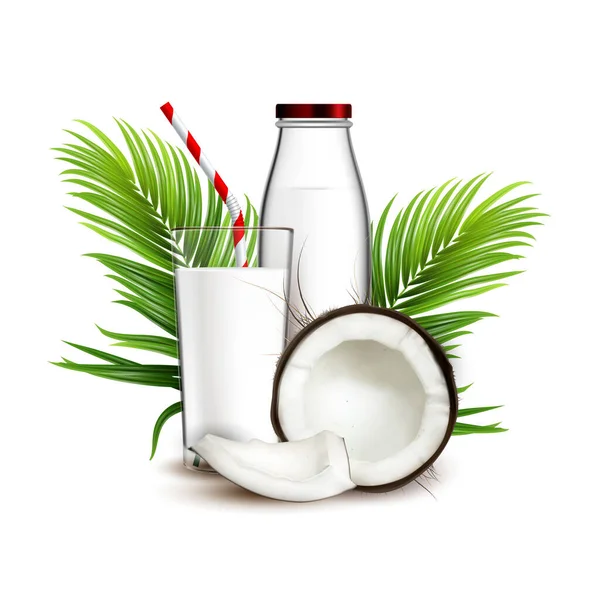 Vecteur naturel de boisson et de branche de palme de lait de coco — Image vectorielle