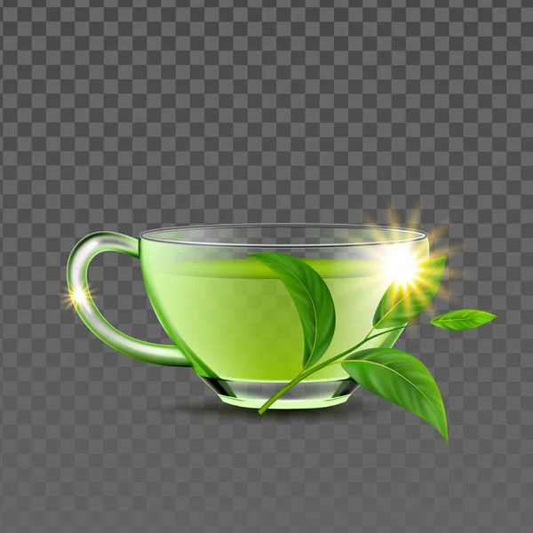 緑茶カップと天然枝葉ベクトル — ストックベクタ