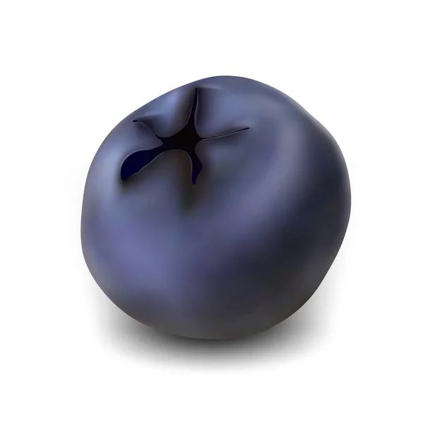 Blueberry Natural Vitamin Season Berry Vector — Vector de stock