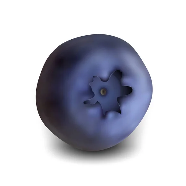 蓝莓天然维生素季节野生浆果病媒 — 图库矢量图片