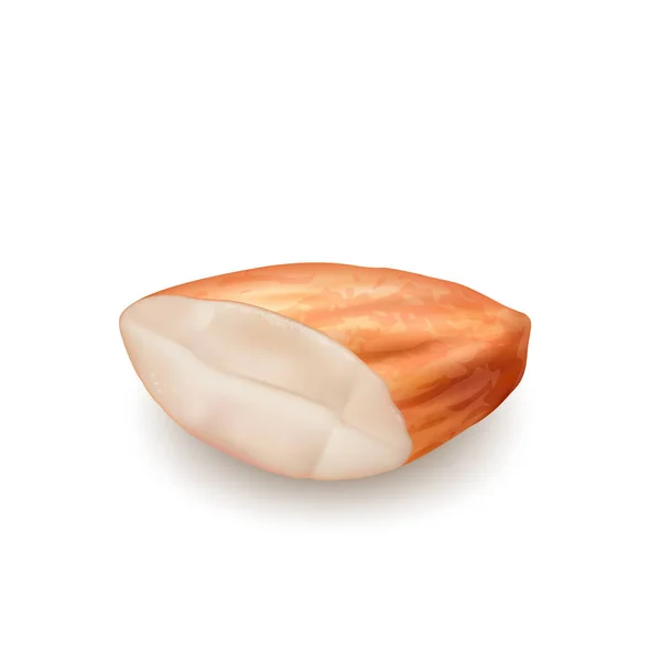 Amêndoa Corte Nut Kernel Vitamina Natural Food Vector —  Vetores de Stock