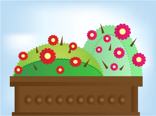 Two cactus with flowers — Stock Vector