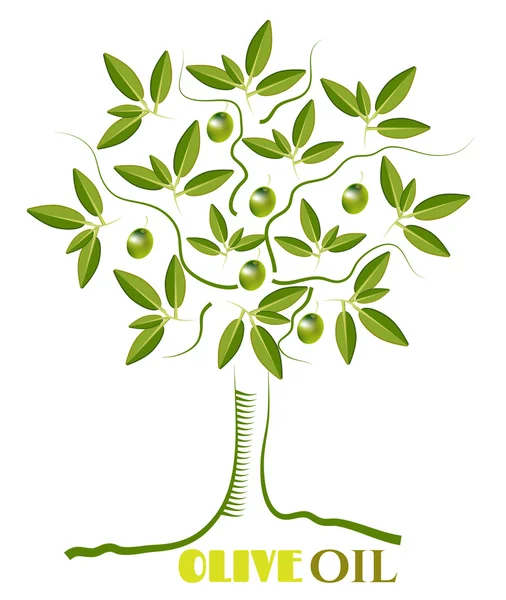Dal yaprak ve zeytin, metin zeytinyağı, beyaz arka plan ile bir yeşil, izole, zeytin ağacı