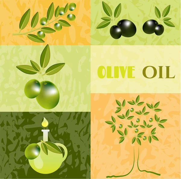 Vintage kaart met olijven, groene takje met olijven, olijfboom en karaf, tekst olijfolie — Stockvector
