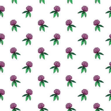 Yapraklı yonca tomurcuğunun kusursuz deseni. Gül çiçeği elle çizilmiş illüstrasyon. Trefoil 'in botanik çizimi