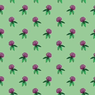 Yapraklı yonca tomurcuğunun kusursuz deseni. Gül çiçeği elle çizilmiş illüstrasyon. Trefoil 'in botanik çizimi