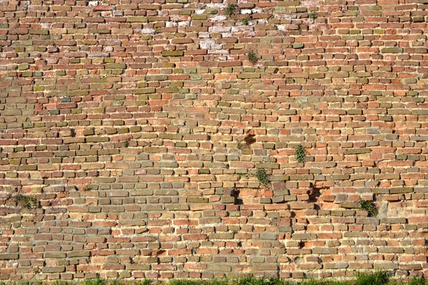 Mur de briques rouges — Photo