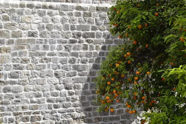 Vieux fond de mur de pierre antique — Photo