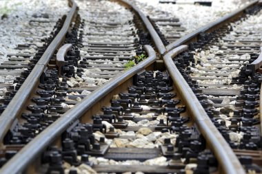 tren hattı geçerken