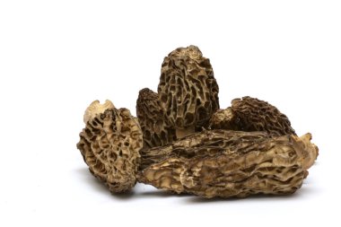 mantar beyaz zemin üzerine grup