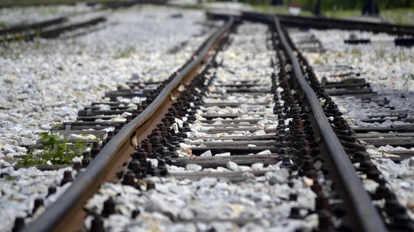 Train line crossing — Stock Photo, Image