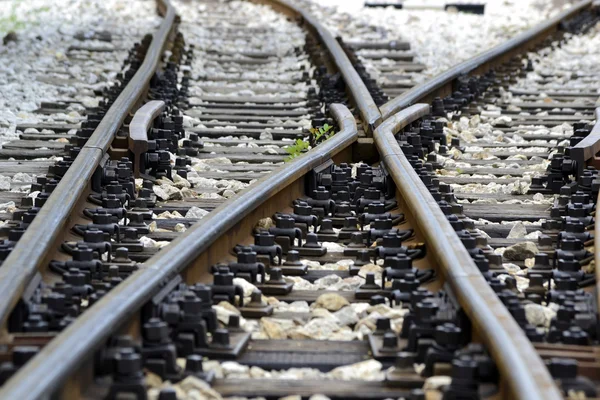 Train line crossing — Stock Photo, Image