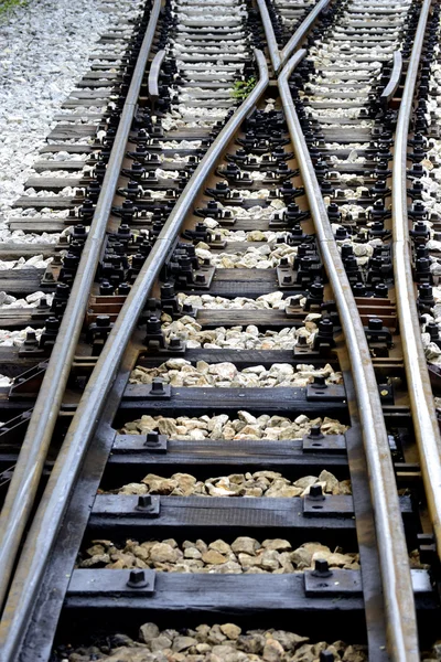 Train line crossing — Stock Photo, Image