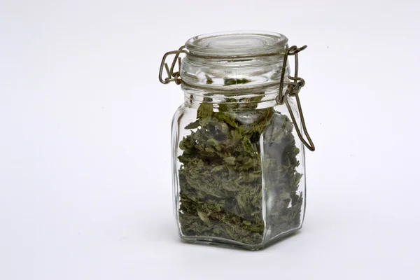 Herbs in a jar on a white background — Stock Photo, Image