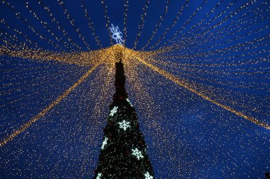 Timisoara 'da Noel süsleri