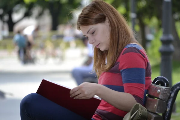 Studying in the park — Stock Photo, Image
